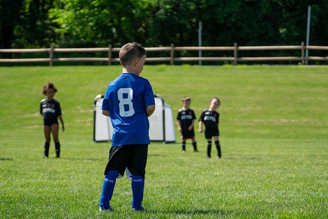 的穿针引线 的穿针引线