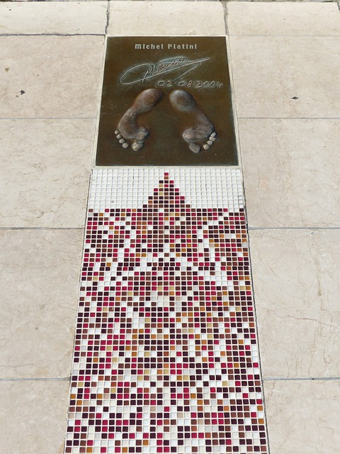 还形成了一 还形成了一