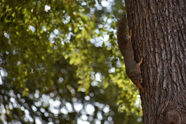 身在更高层 身在更高层