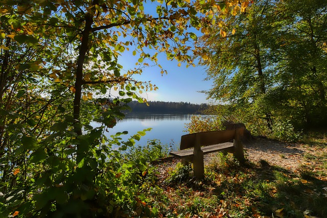 健康完整的 健康完整的