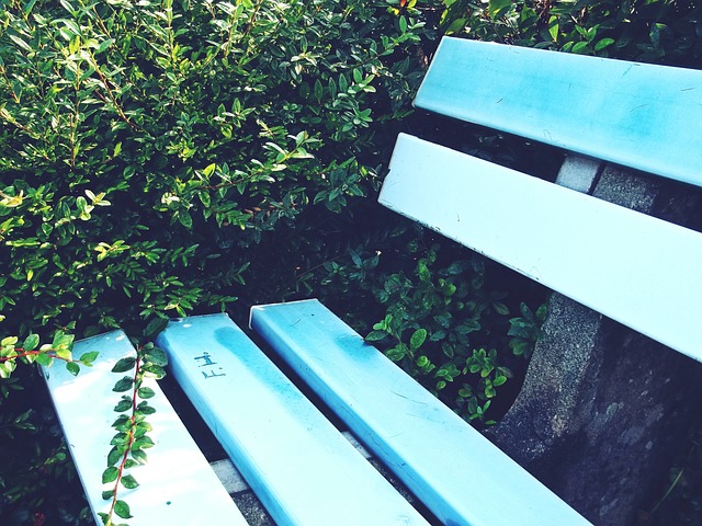 出了法国防 出了法国防