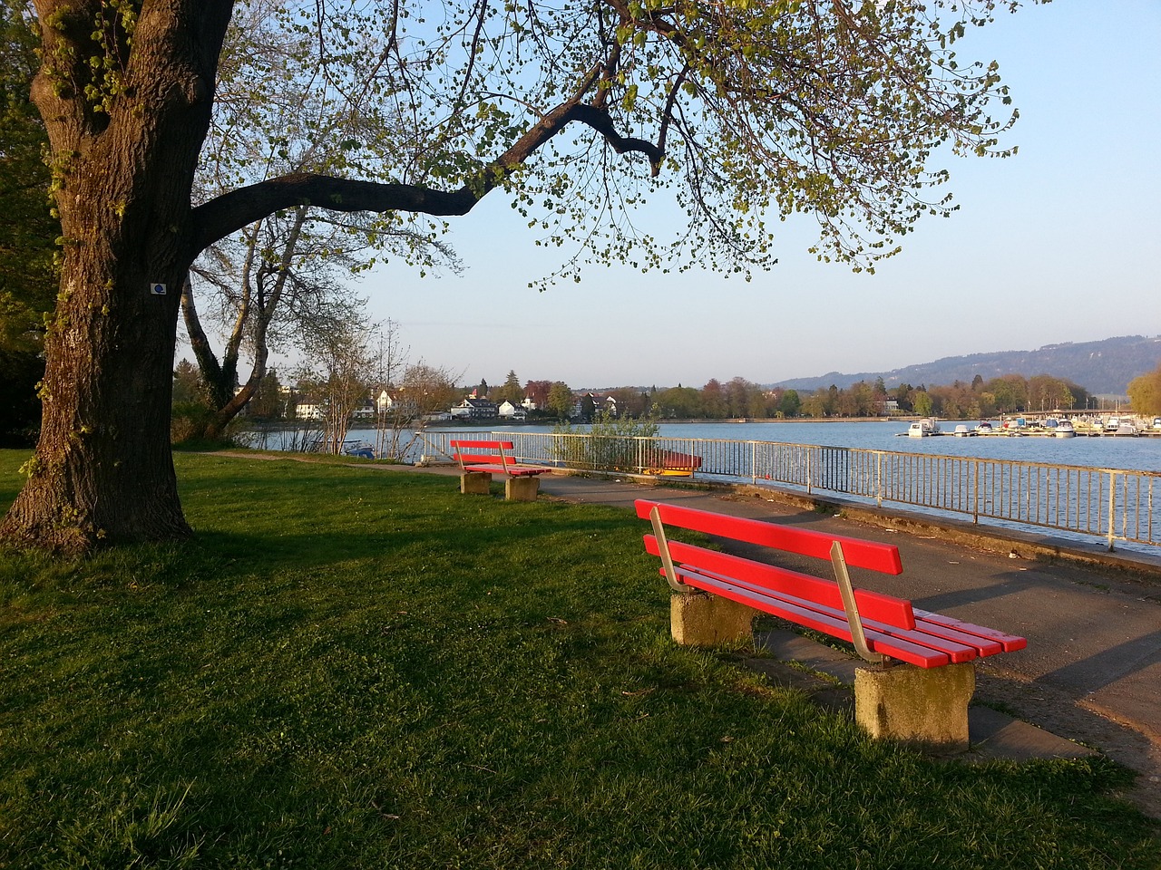 帮助他未来 帮助他未来