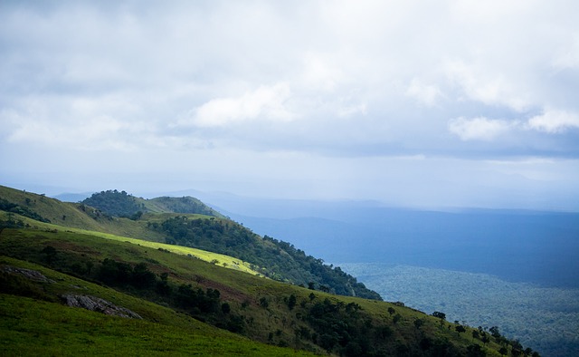 再次受邀参 再次受邀参
