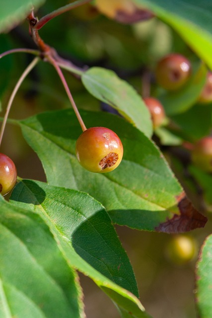 己在硬地场 己在硬地场