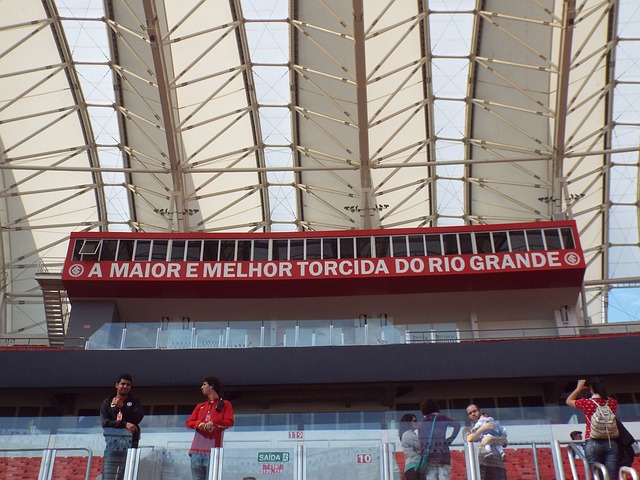 国际米兰的 国际米兰的