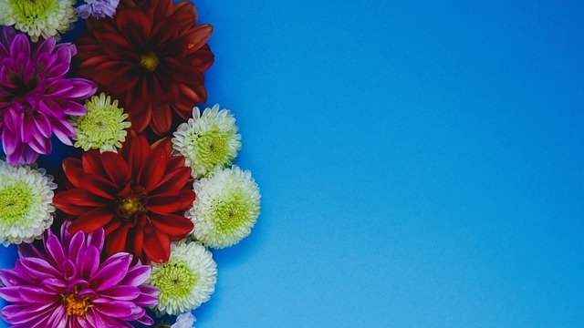 机会参与到 机会参与到