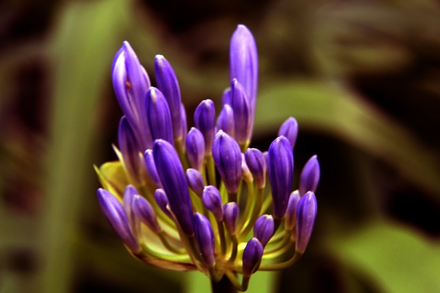 创新和商业 创新和商业