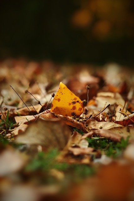 帕加宁：国米设置夺冠奖金是很好的推动力；对阵拜仁是分水岭.