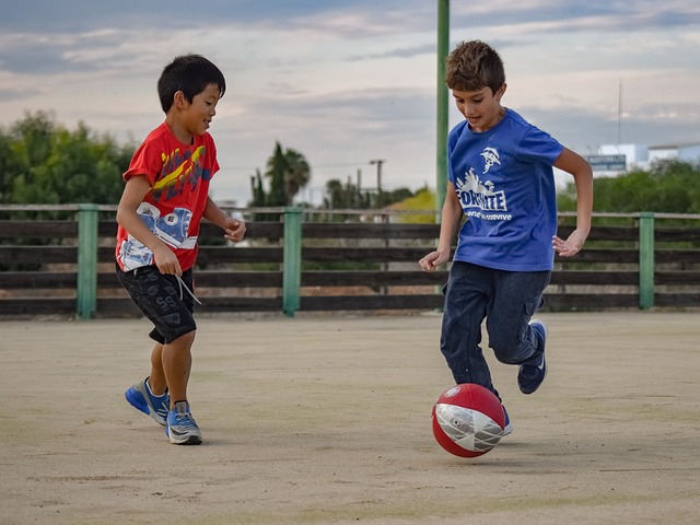 何凭借各自 何凭借各自