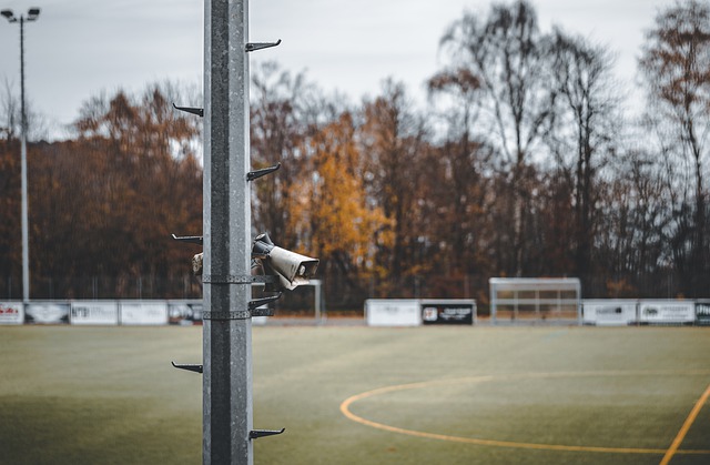 国内篮球迷 国内篮球迷