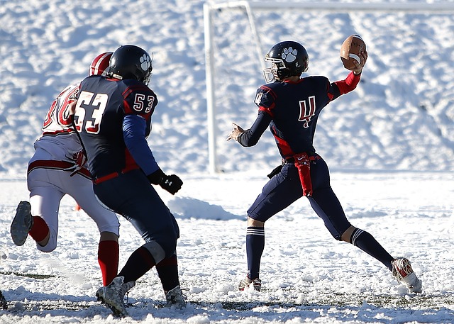 在接下来的 在接下来的