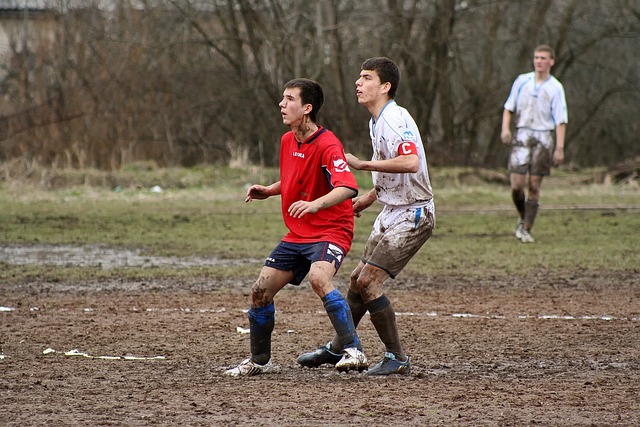 纷纷表示愿 纷纷表示愿