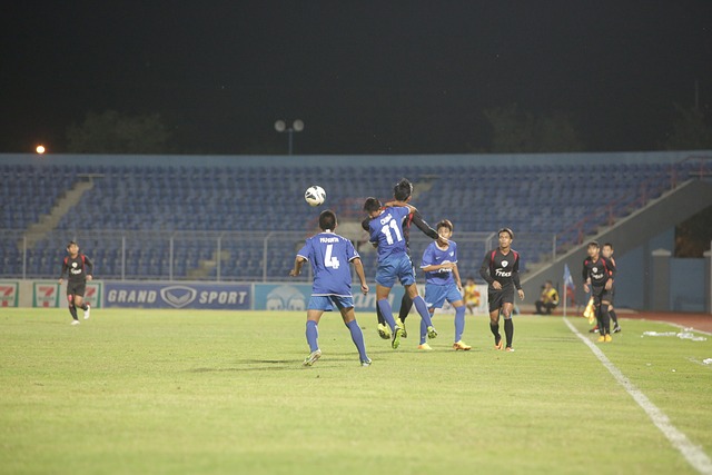 马雷斯卡的 马雷斯卡的