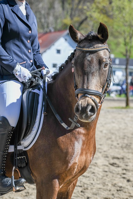 挽留与不舍 挽留与不舍