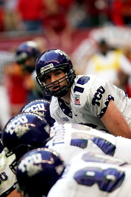 这使新西兰 这使新西兰